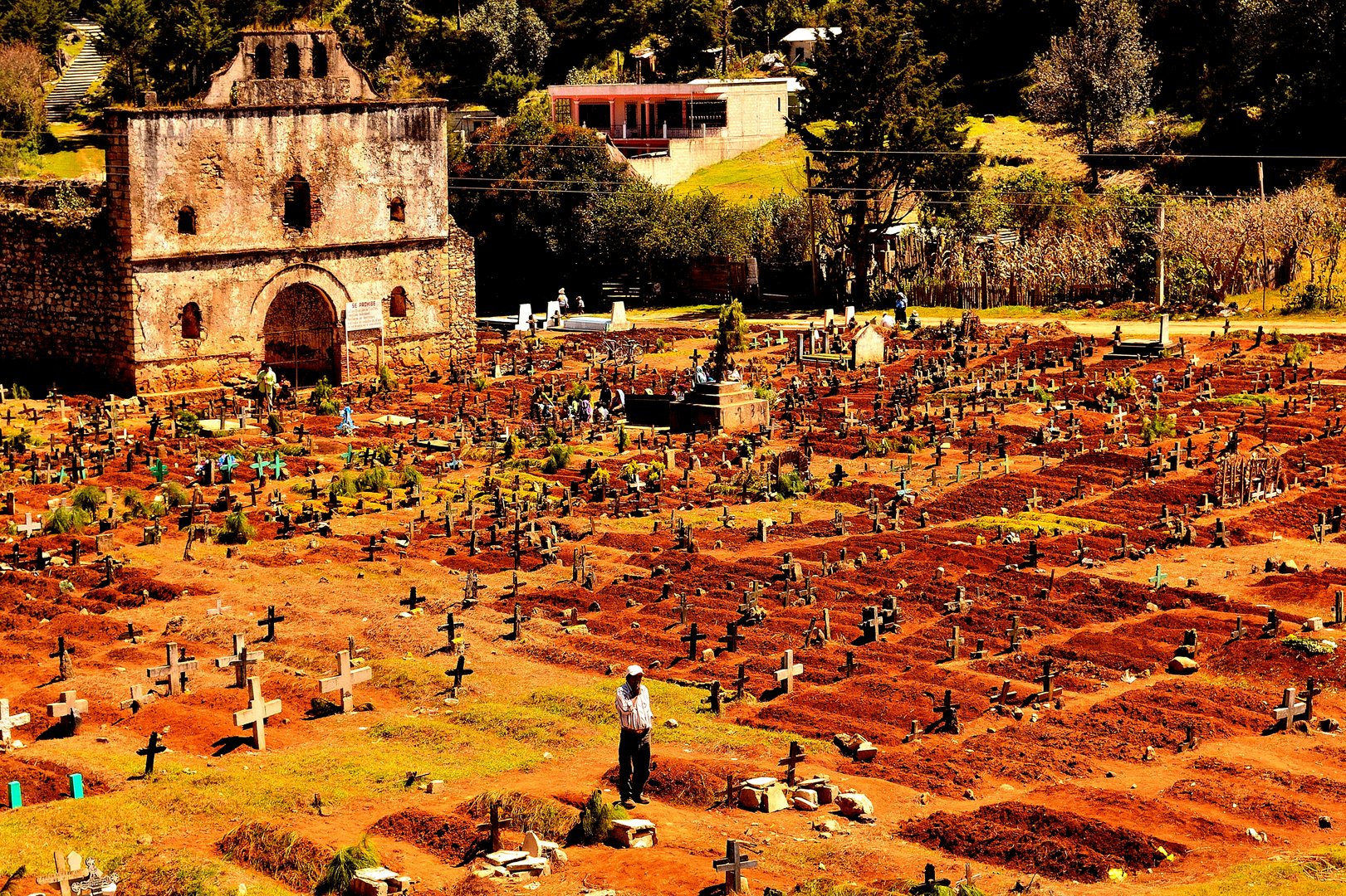 United Colours of Cemetery