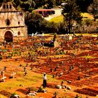 United Colours of Cemetery