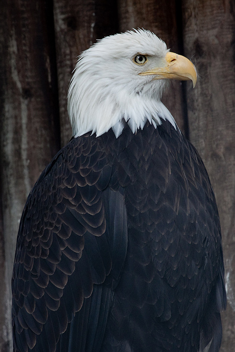 United States of Hannover Zoo