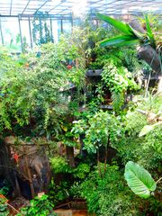 Universeum Göteborg