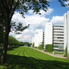 Universität Bielefeld