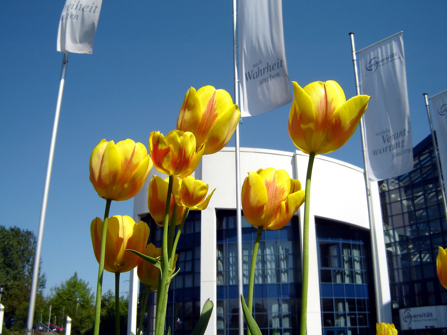 Universität Witten/Herdecke - UW/H