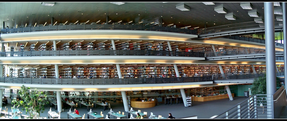 Universitätsbibliothek Greifswald, Uni, Bibliothek Foto & Bild