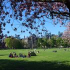 Universitätscampus in Edinburgh/Schottland