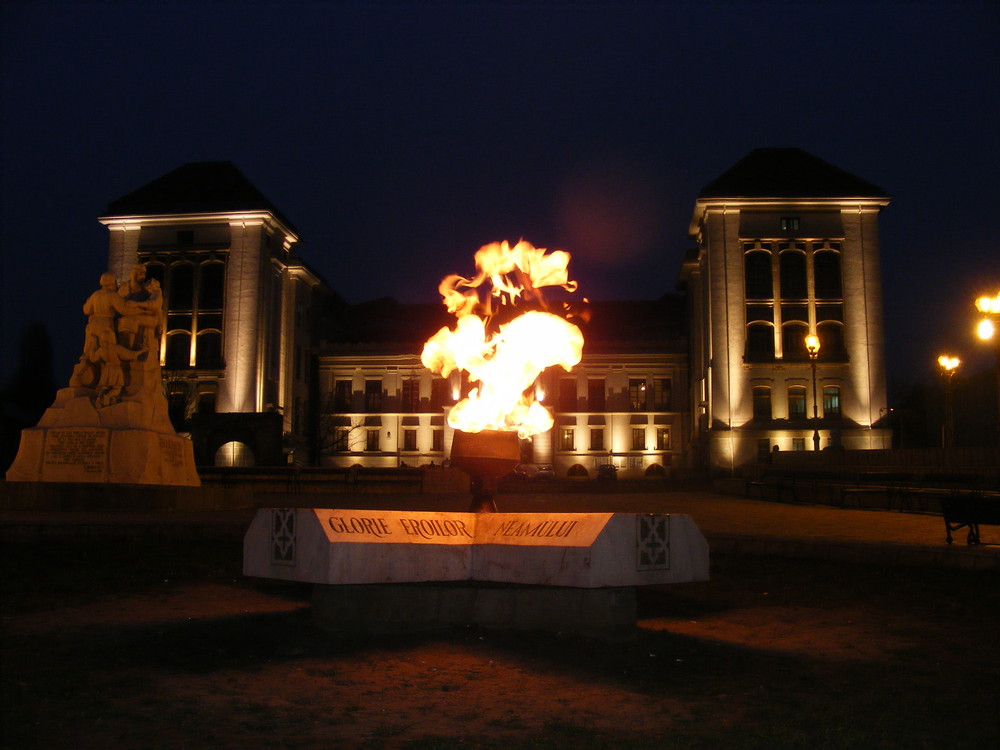 university of medicine, iasi