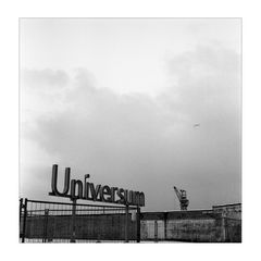 Universum