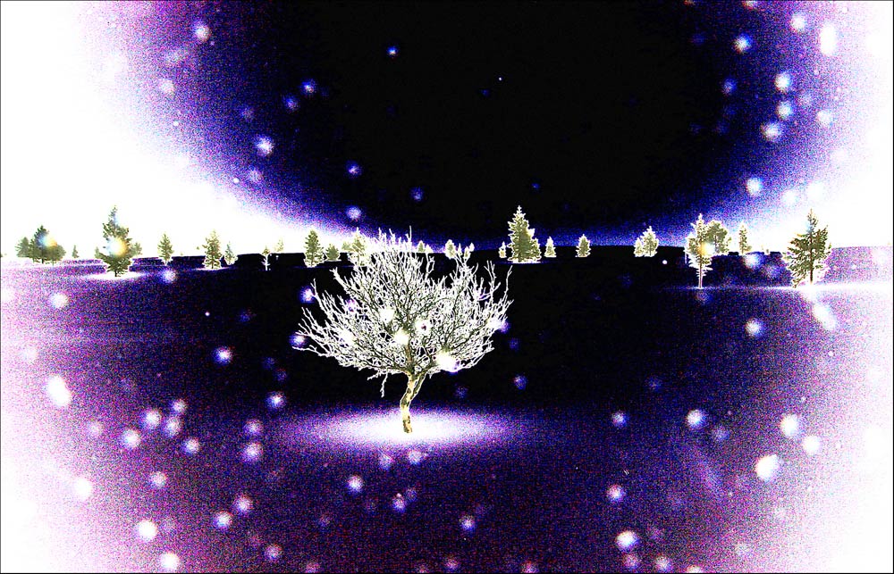 Universum der Schneeflocken