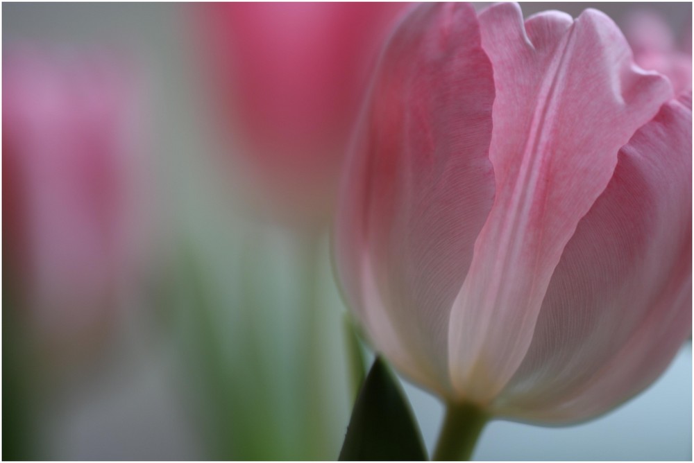 UNKLAR - wann endlich der Frühling kommt...