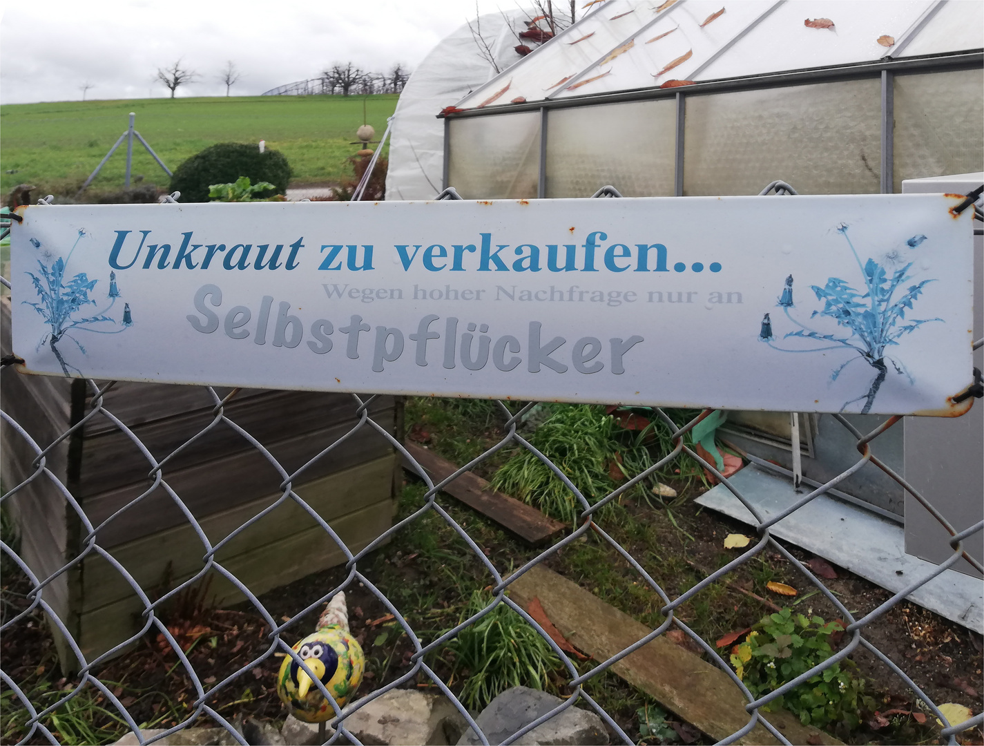 Unkraut im Garten