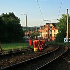 Unkrautbekämpfung bei der Plauener Straßenbahn