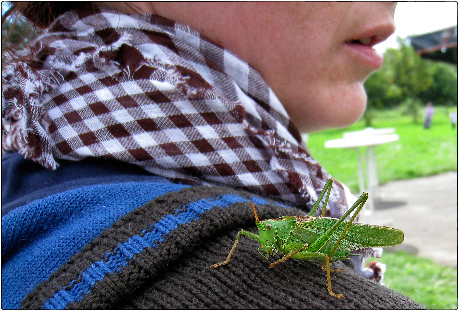 unliebsame Begegnung beim Gartenfest   .......