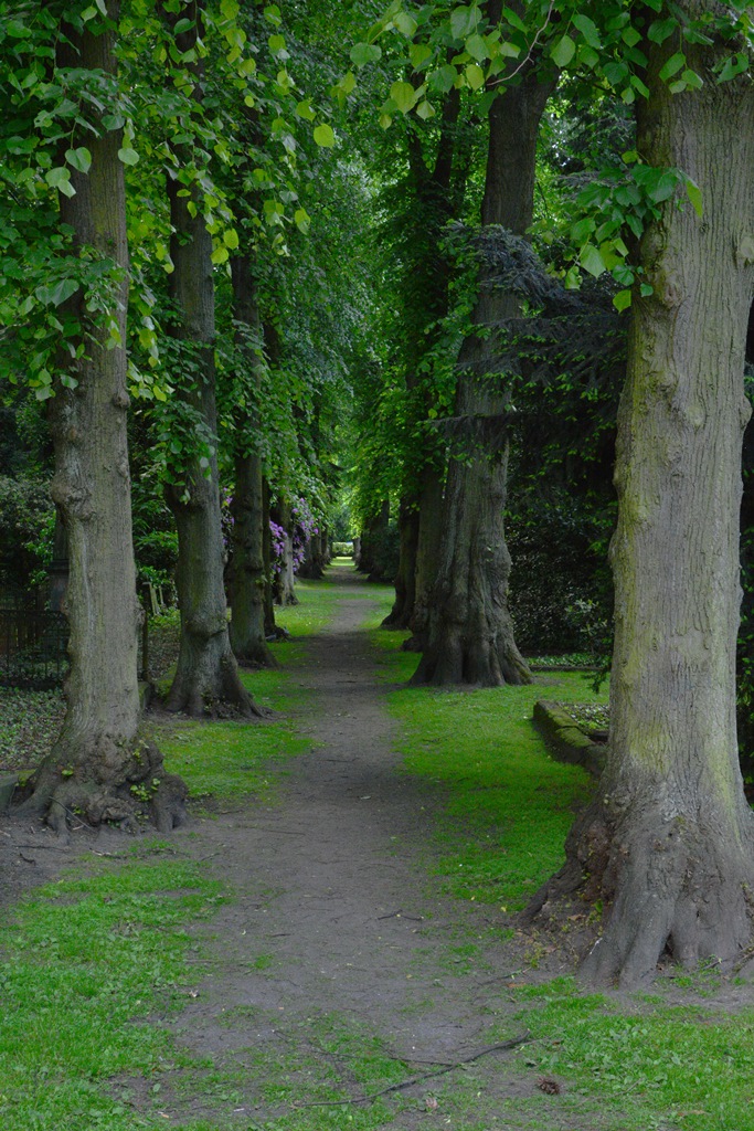 Unna, Alter Westfriedhof