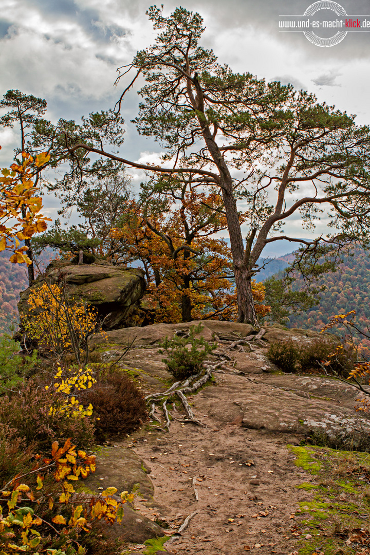 unnerwegs in de Palz