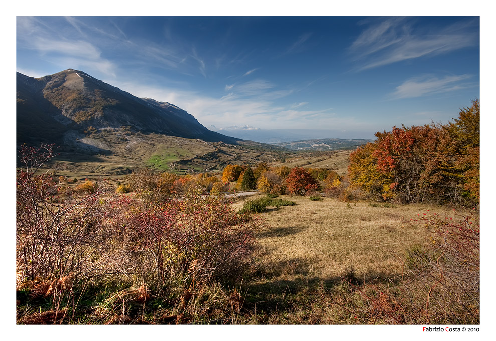 Uno scatto autunnale