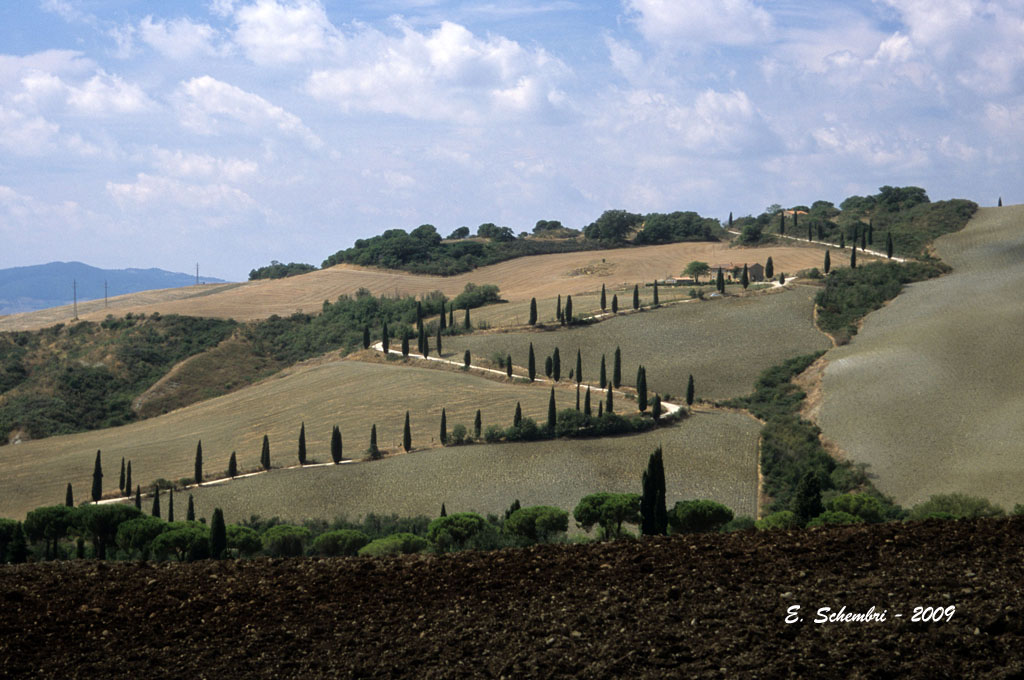 Uno schizzo nella campagna senese