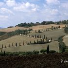 Uno schizzo nella campagna senese