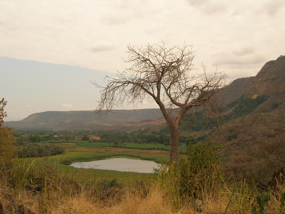 Uno scorcio di Tanzania