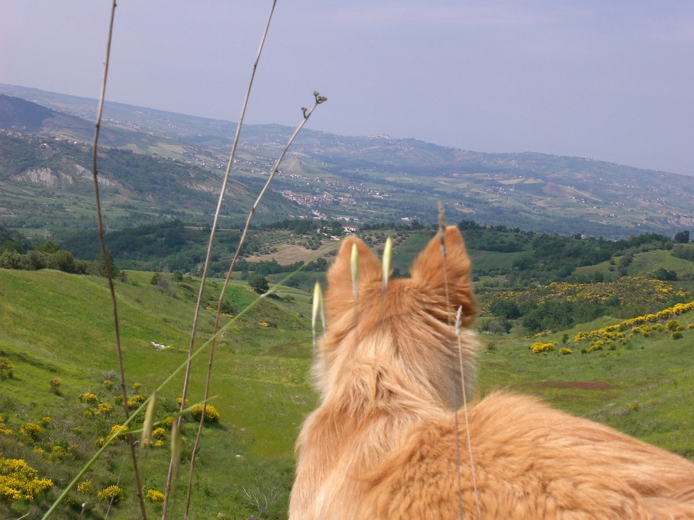 UNO SGUARDO ALL'ORIZZONTE