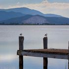 Uno sguardo dal "pontile"