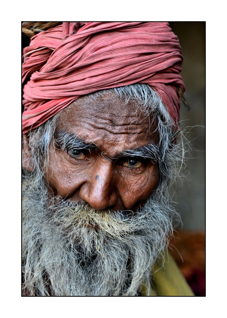 Uno sguardo dall'  India