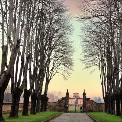 Uno sguardo oltre il cancello.