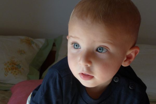 Uno sguardo sul mondo