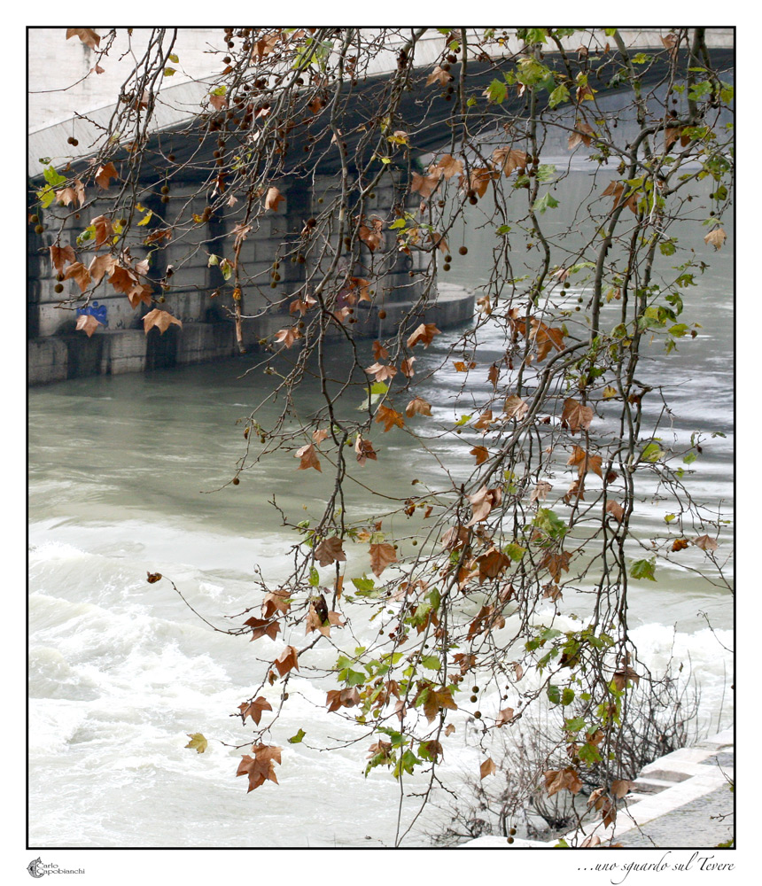 ...uno sguardo sul Tevere