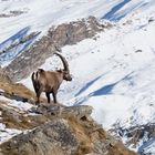 Uno sguardo sulla valle