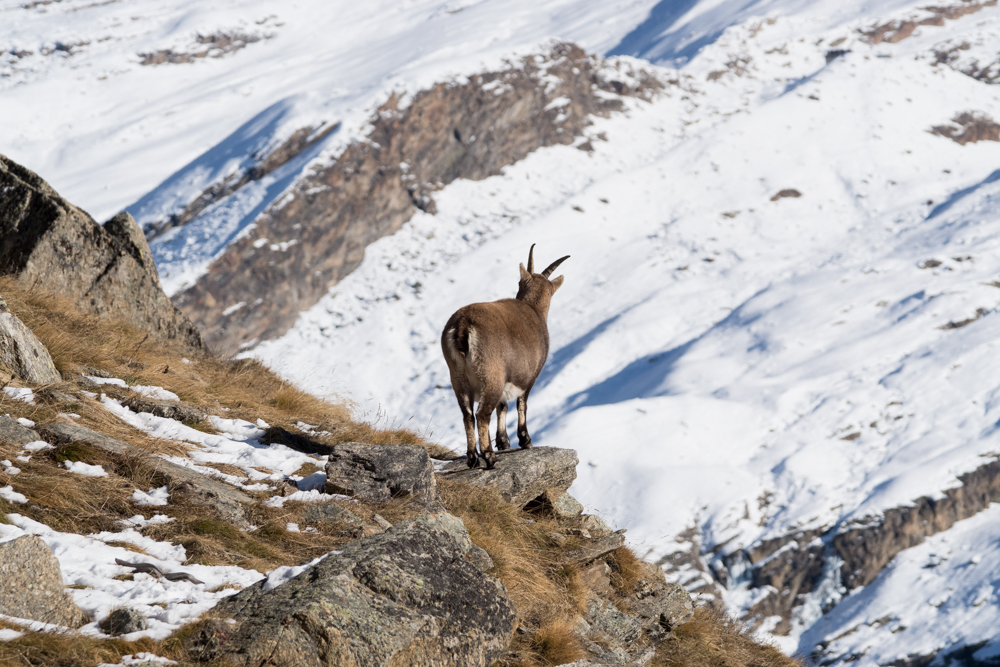 Uno sguardo sulla valle due