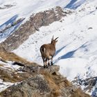 Uno sguardo sulla valle due