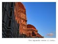 Uno sguardo verso il cielo.... by Paolo Vannucchi 