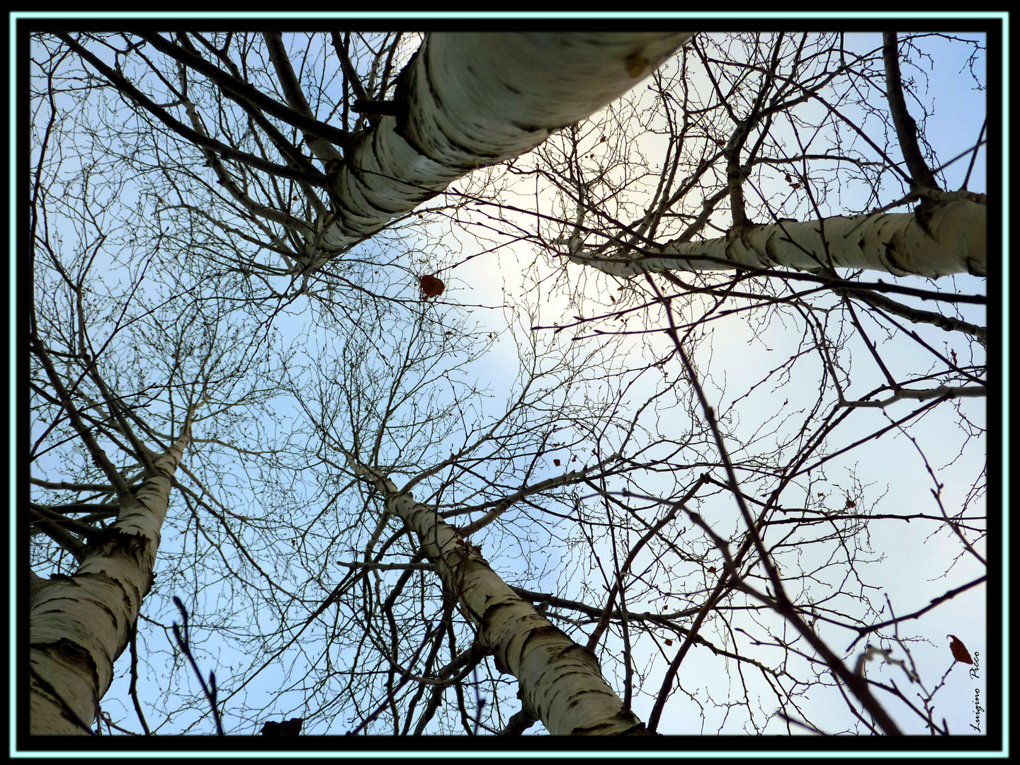 Uno sguardo verso il cielo