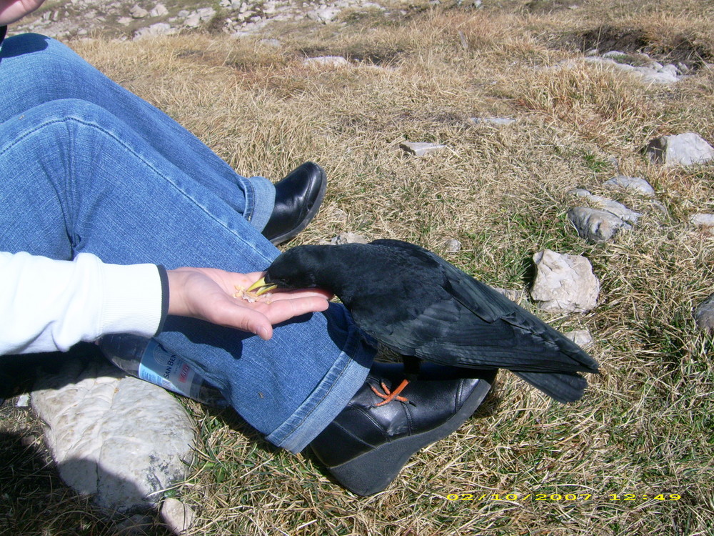 Uno spuntino al Rifugio Roda di Vael