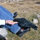 Uno spuntino al Rifugio Roda di Vael