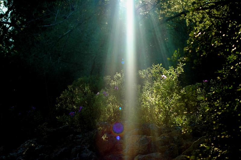 unos rayos de sol