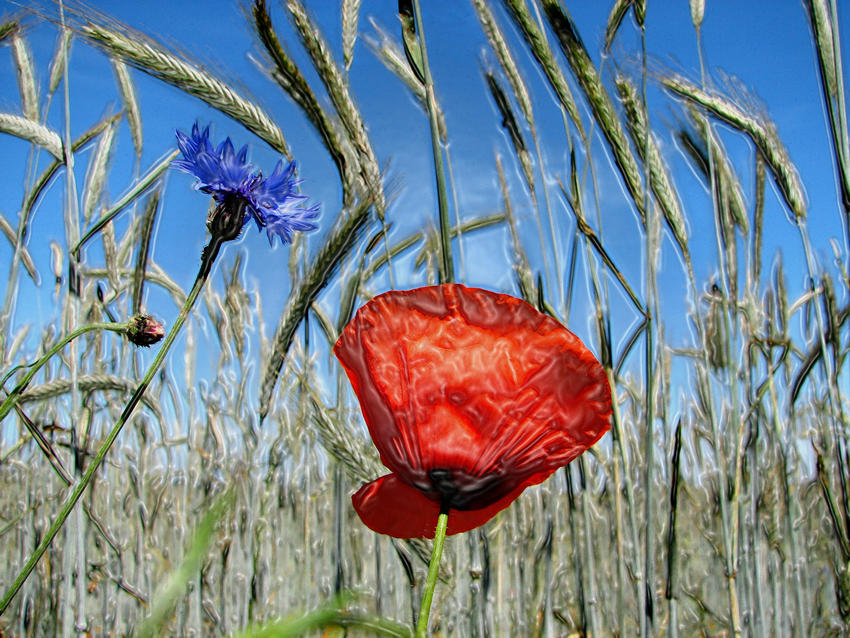 unrestrained growth of plastic flowers