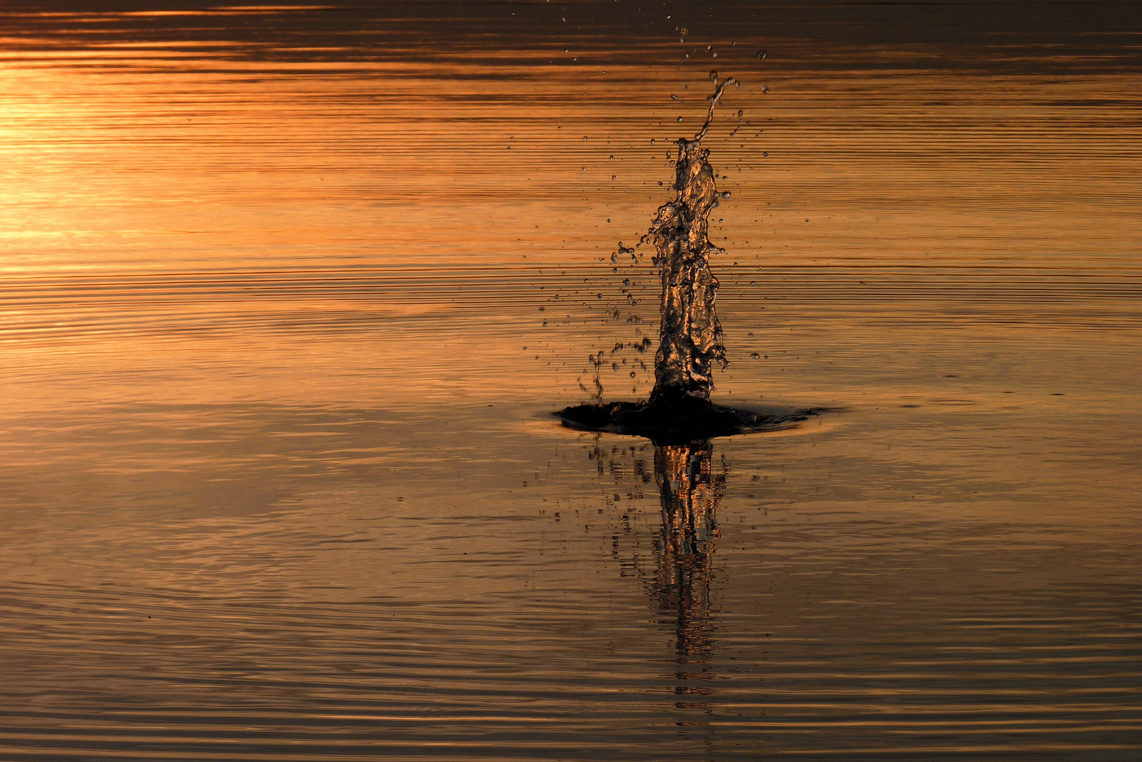 Unruhe Foto & Bild | die elemente, sonnenuntergang, wasser ...