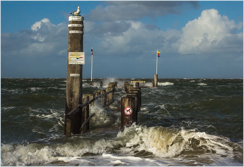 Unruhe vor dem Sturm - (Beschreibungen u. Analysen) 