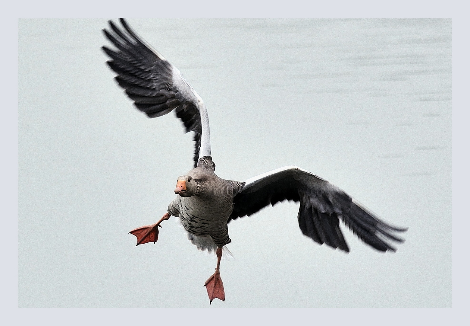 unruhiger Landeanflug