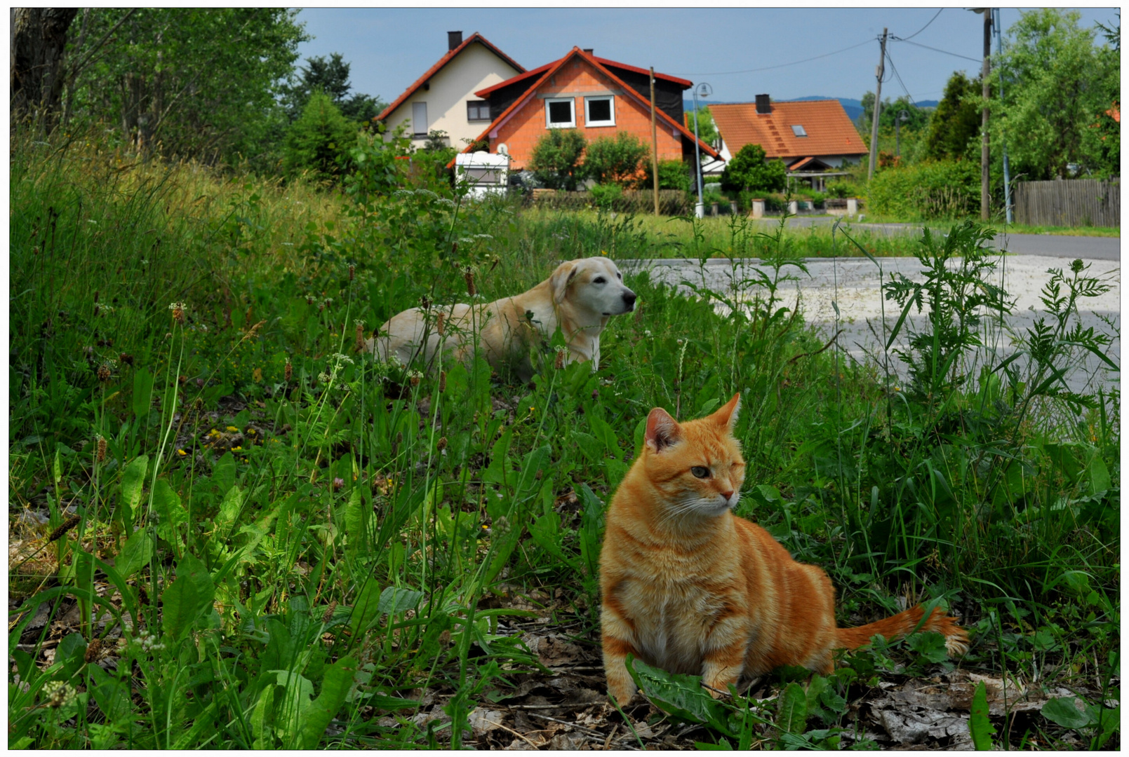 Uns ist es so warm (nos asamos de calor)