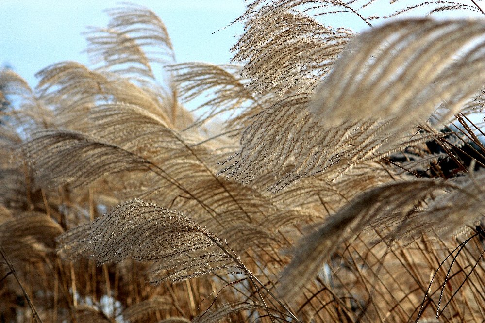 Uns streichelt der Wind