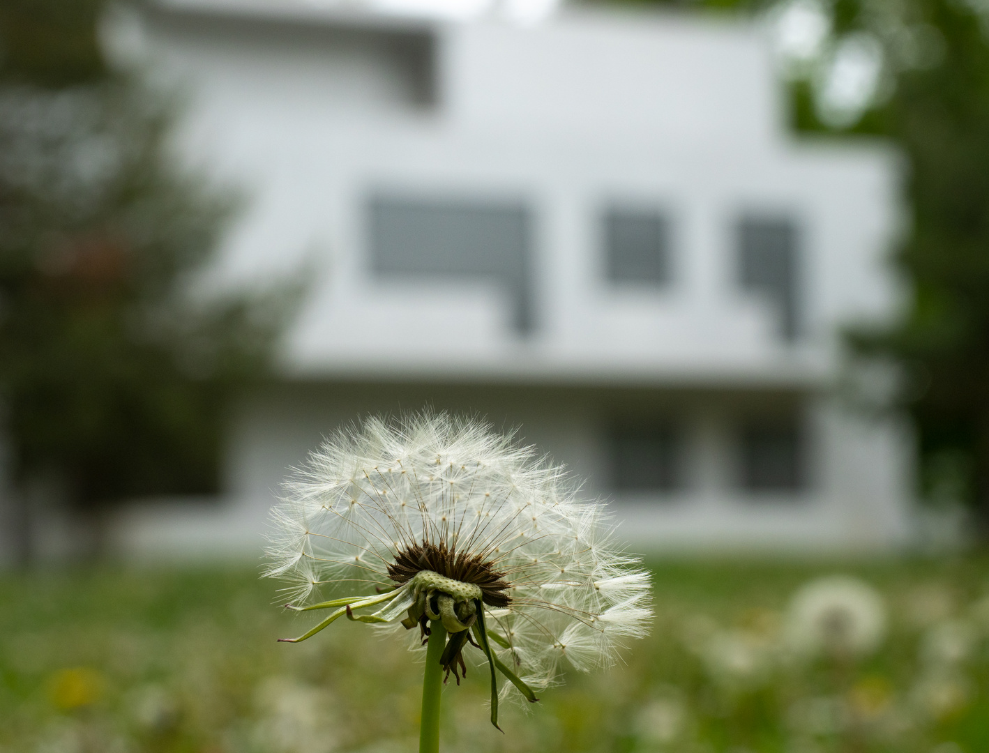 Unscharfe Erinnerung