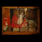 Unscharfes Foto von einem Foto von einer in einem Käfig eingesperrten Ratte