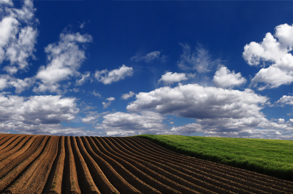 Unscheinbare "Landschaft" bei Pfatter