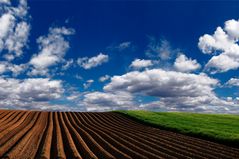 Unscheinbare "Landschaft" bei Pfatter