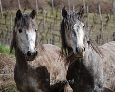 Unschulds-Duo :)