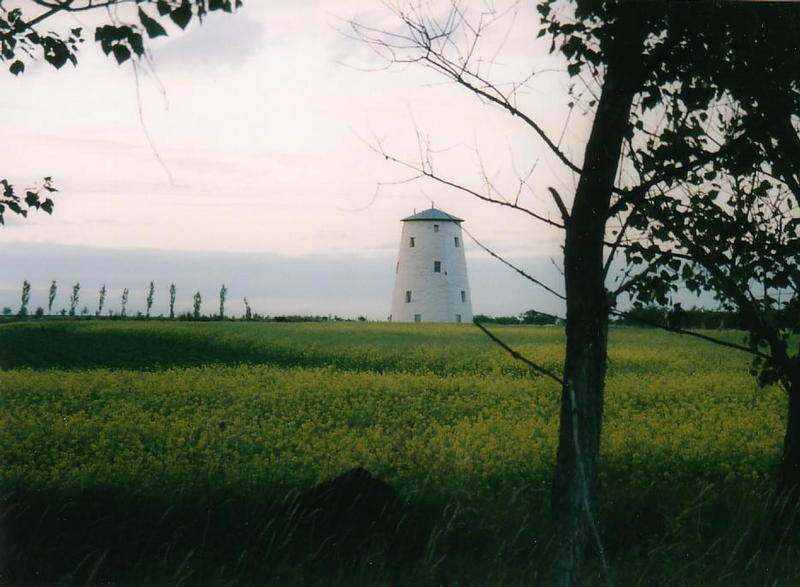 Unseburger Holländer (Mühle)