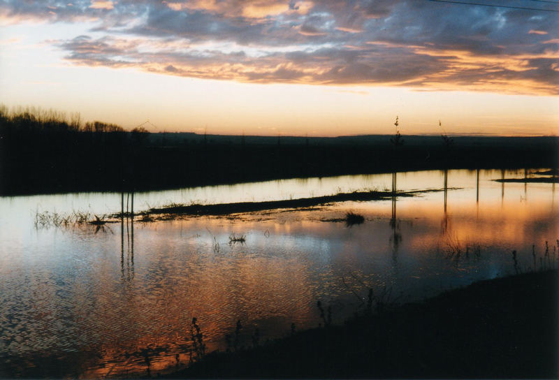 Unseburger Sonnenuntergang am Wehr 1997