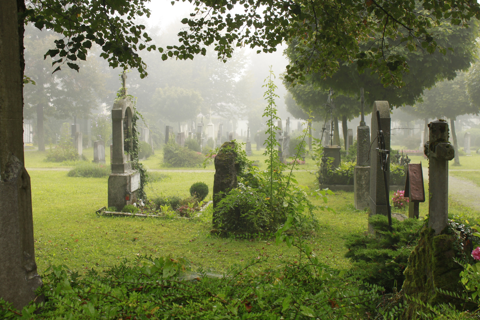 Unser alter Friedhof