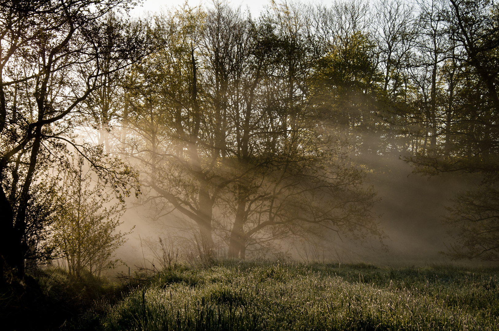 Unser Autal im Nebel